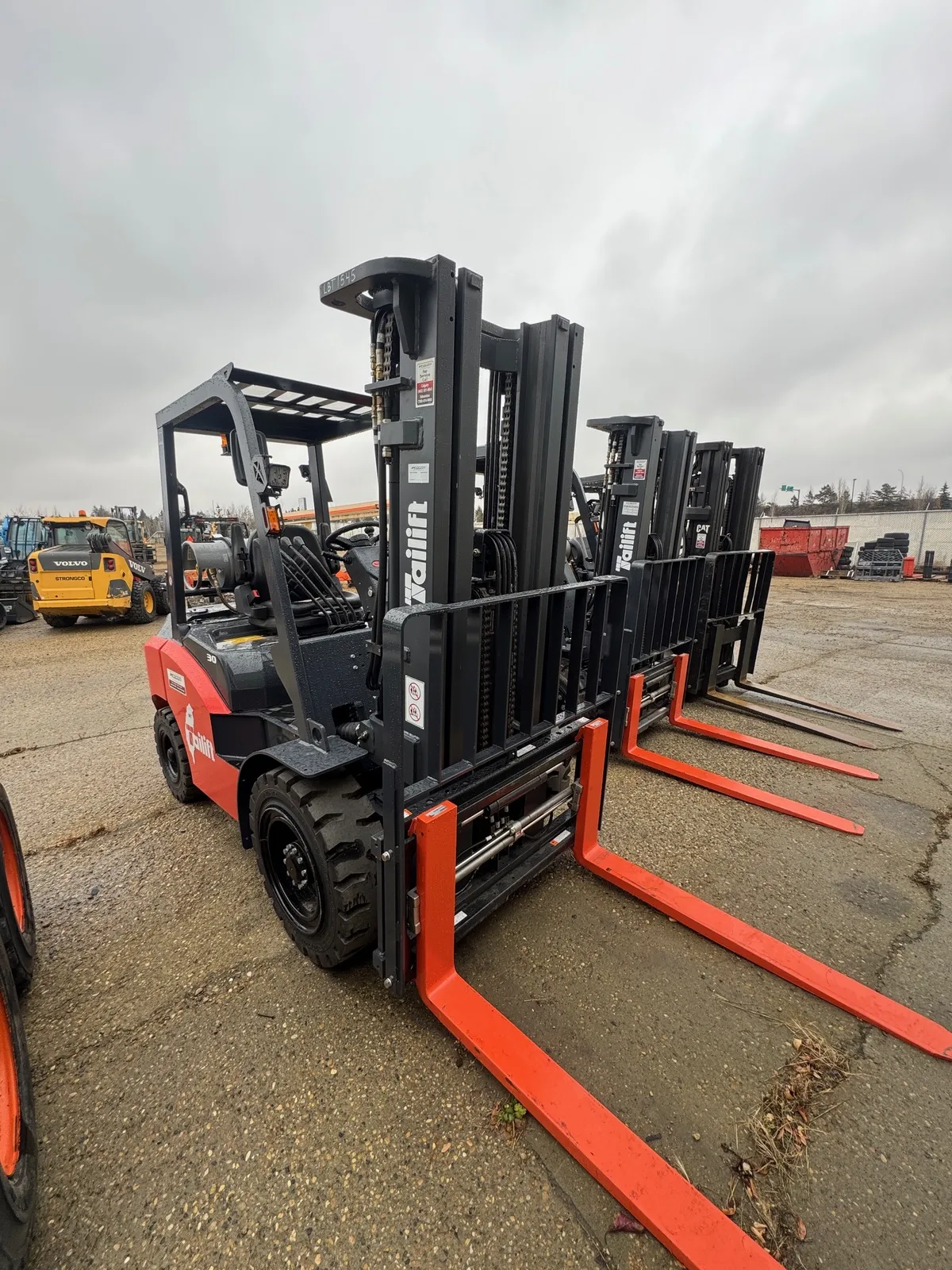 2025 Tailift PFG30-PS — view 2