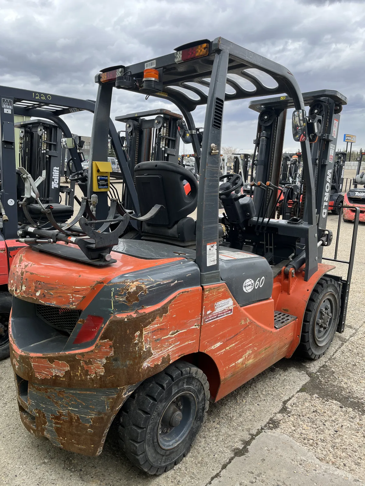 2018 World FG30 — view 5